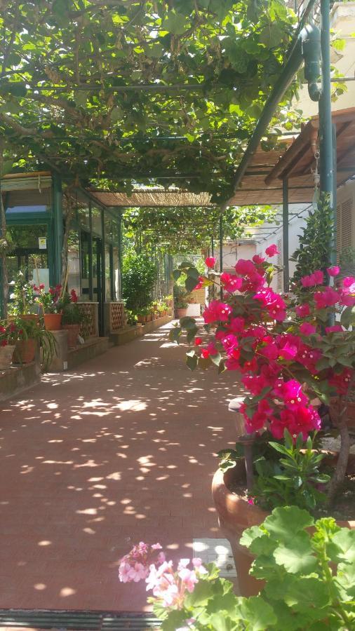 Villa Dei Fiori B&B Capri Exterior photo