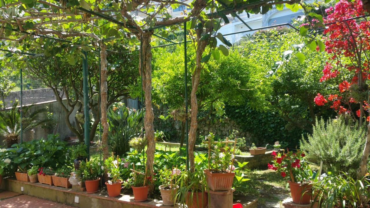 Villa Dei Fiori B&B Capri Exterior photo
