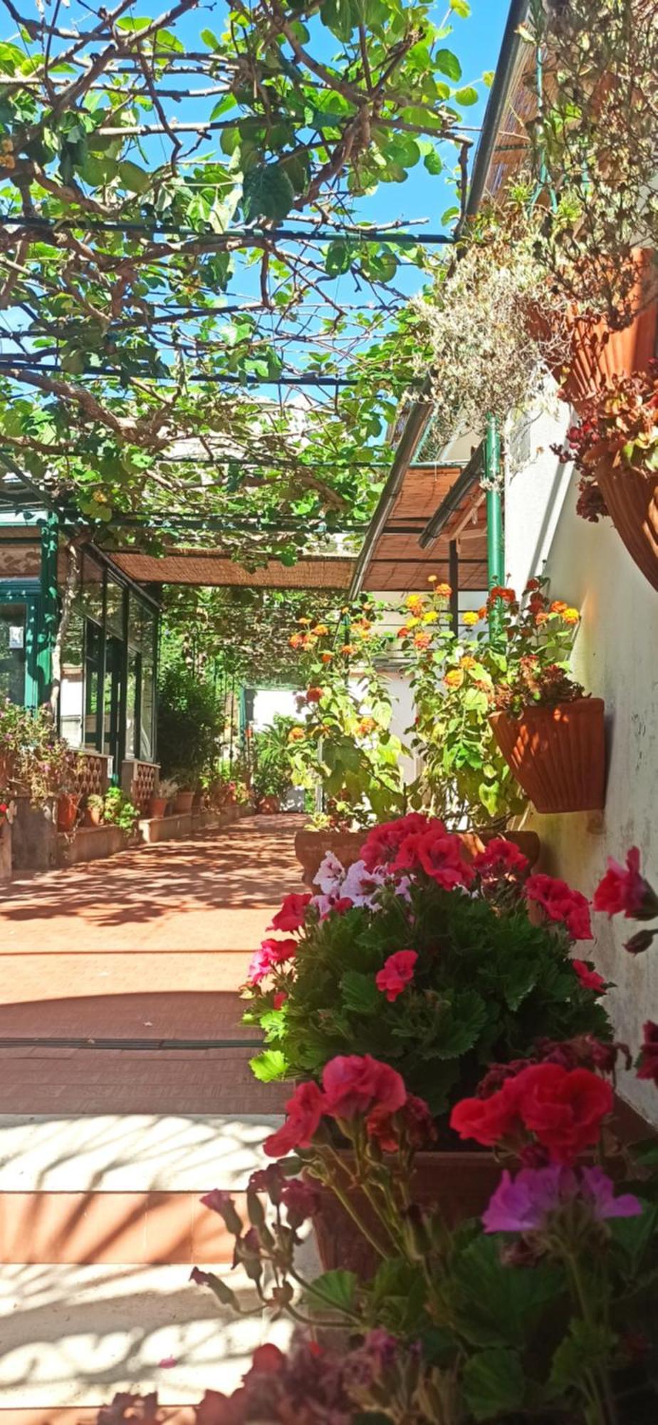 Villa Dei Fiori B&B Capri Exterior photo