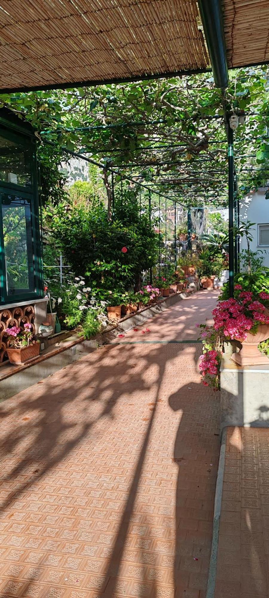 Villa Dei Fiori B&B Capri Exterior photo